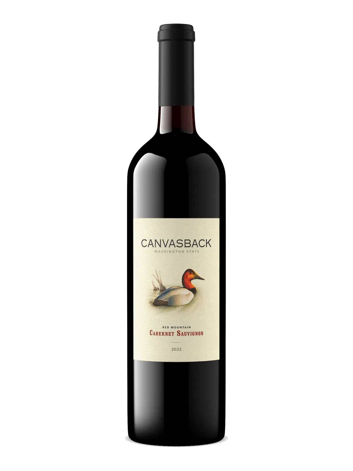 Canvasback Red Mountain