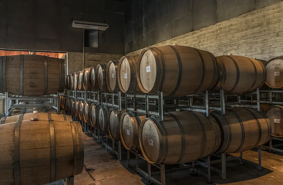 Barrels in the Corazón del Sol cellar