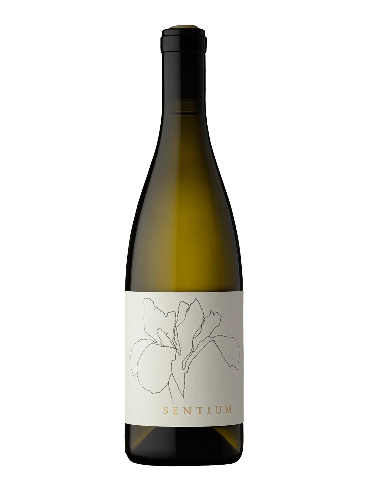 Sentium Sauvignon Blanc bottle
